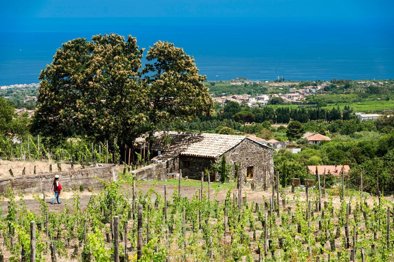 Готель Monaci Delle Terre Nere Цафферана-Етнеа Екстер'єр фото